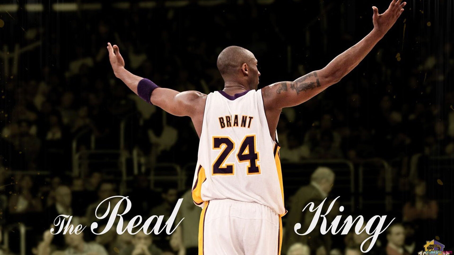 开云官网-终结与接管，当旧秩序让位于新王